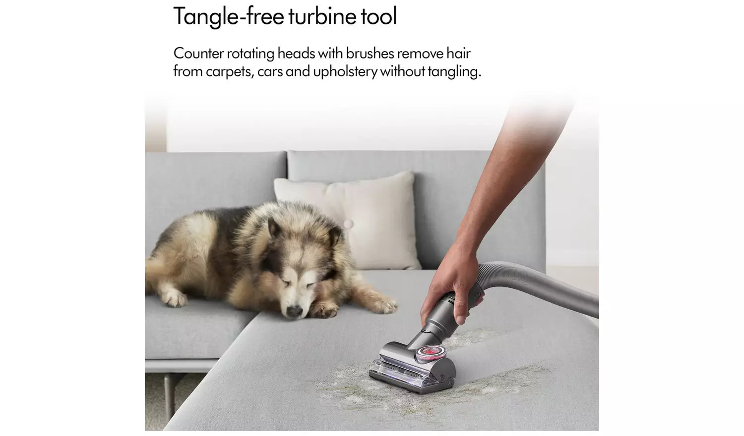 Dyson Ball Animal Corded Bagless Upright Pet Vacuum Cleaner