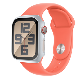 Bandz Apple Watch 10 - 46mm PC Case with Glass (Silver)