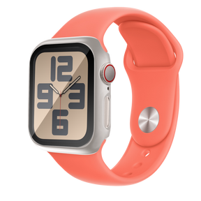 Bandz Apple Watch 10 - 46mm PC Case with Glass (Titanium)